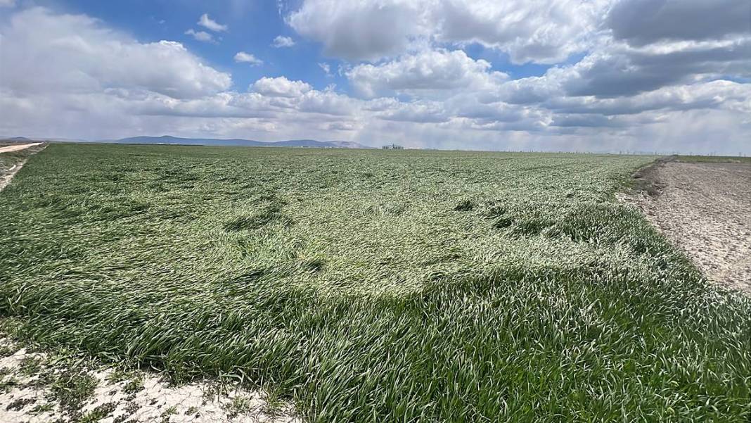 Tarımda tarihin en büyük felaketi yaşanıyor! Meyve, sebze fiyatlarında rekor artış yaşanacak 9